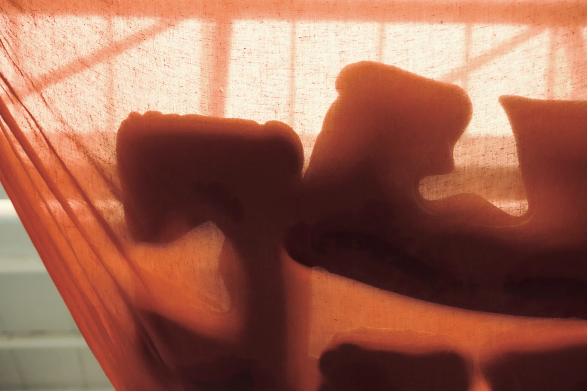 BODIES