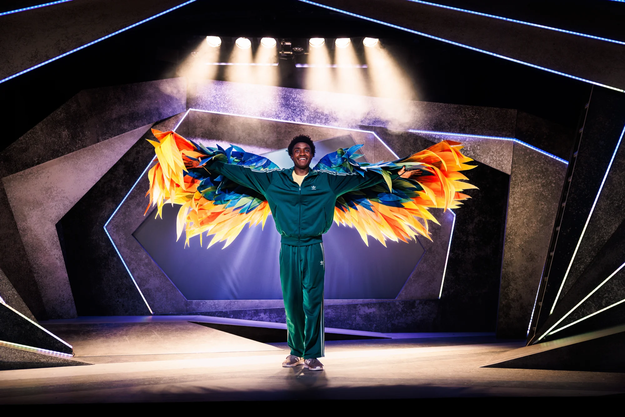 The Boy With Wings