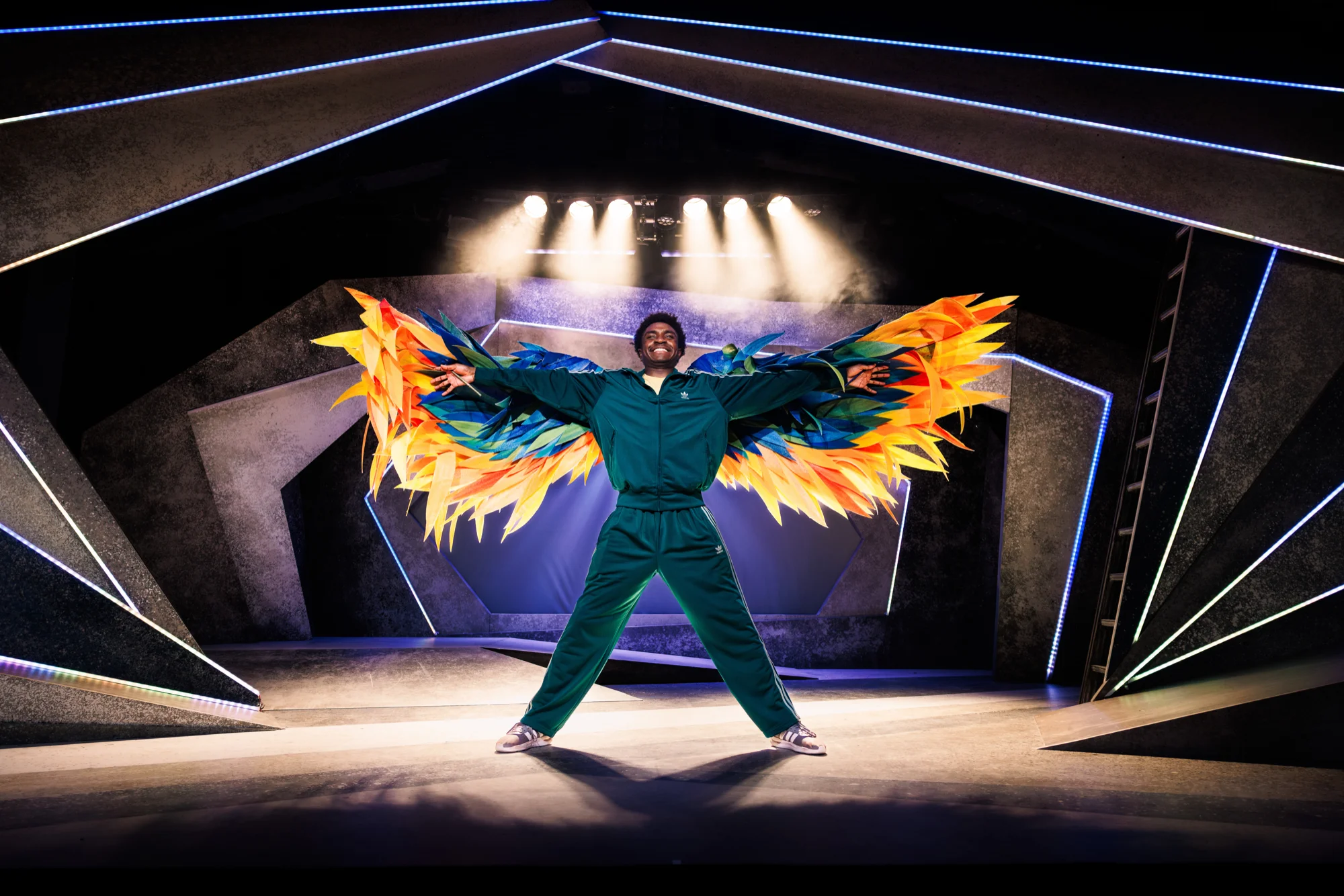 The Boy With Wings