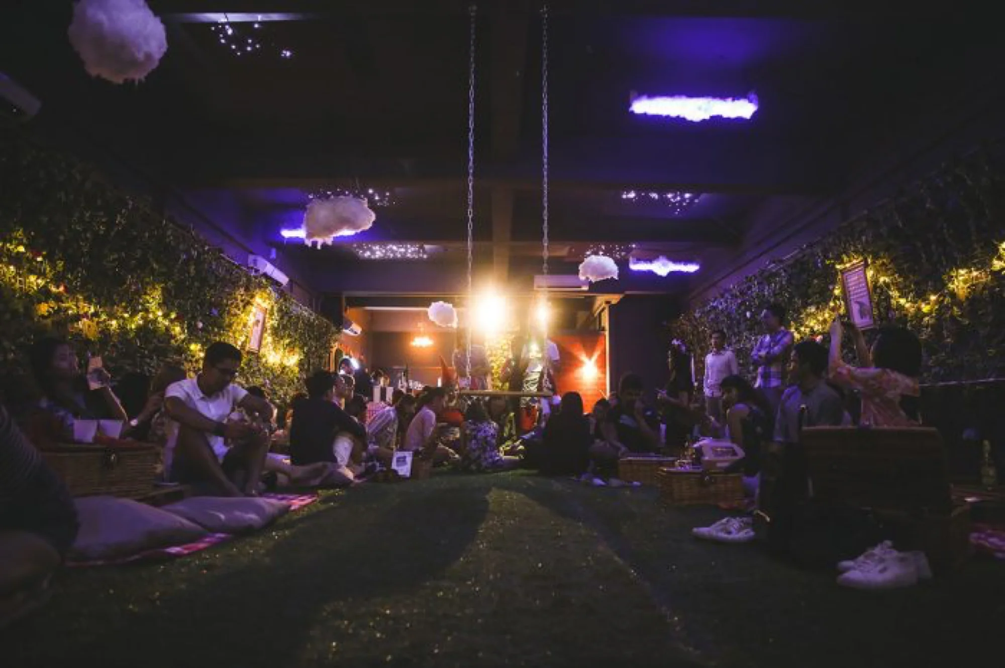 The Picnic